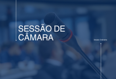 CÂMARA MUNICIPAL DE PIQUETE realiza 6ª Sessão Ordinária de 2025